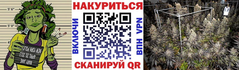 Марихуана Новохопёрск