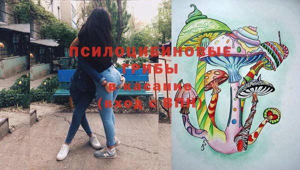 стаф Горно-Алтайск