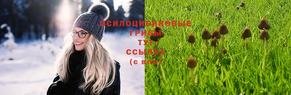стаф Горно-Алтайск