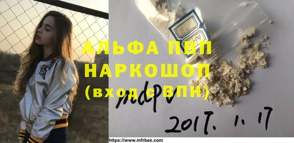 эйфоретик Горняк
