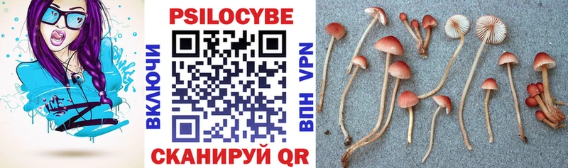 Галлюциногенные грибы ЛСД  наркота  Новохопёрск 
